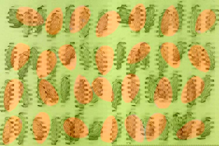almonds are arranged in rows on a green surface