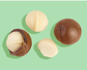 Four macadamia nuts on a green background.