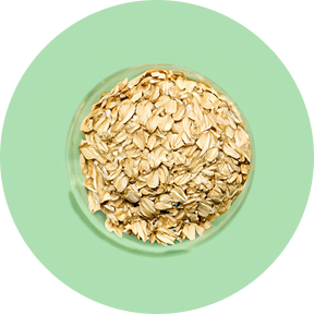 Bowl of oats on a green background.