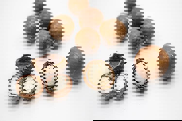 macadamia nuts are peeled and ready to be eaten on a white background