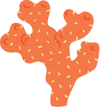 A stylized illustration of an orange organism resembling coral with yellow spots.