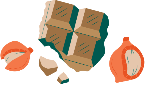 Illustration of chocolate pieces and two orange cocoa pods.