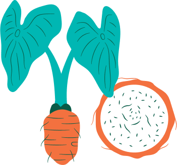 Illustration of a dragon fruit and plant leaves.