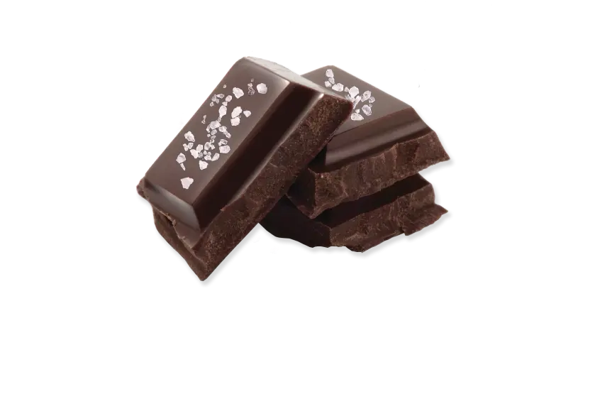 Dark chocolate pieces sprinkled with sea salt.